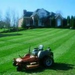 A Few Tips For Choosing A Lawn Maintenance Company