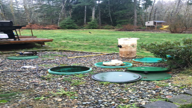 Considerations Regarding Septic Pumping in Bremerton Wa When Planning Landscaping