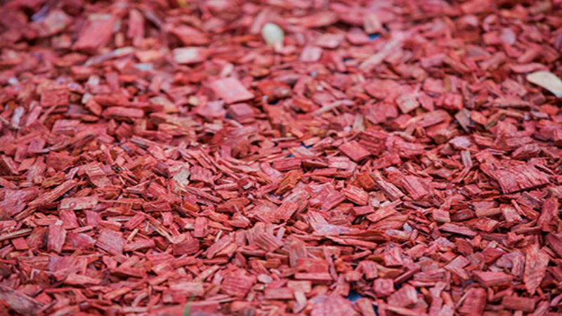 What to Consider When Purchasing Wood Chips in Beaverton OR