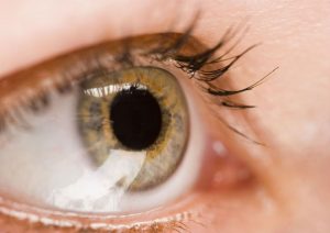 Why It’s Important to See a FL Doctor For Retinal & Macular Degeneration