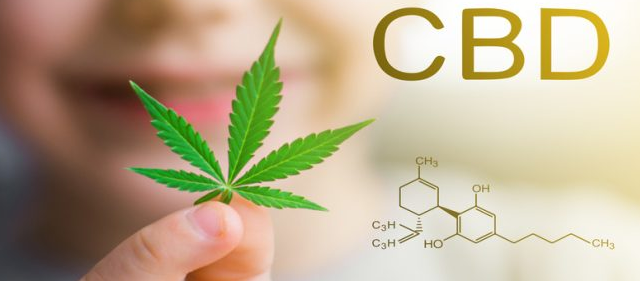 How to Enjoy Full-Spectrum CBD Oils