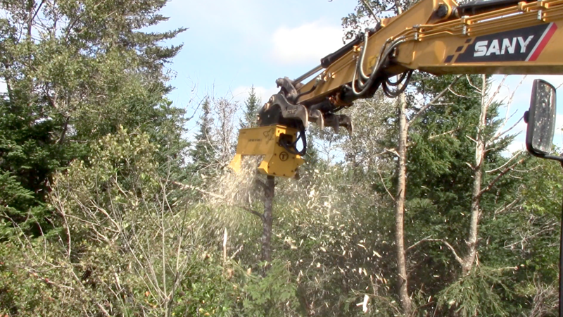 Deciding on the Best Mini Excavator Mulcher Doesn’t Have to Be a Challenge