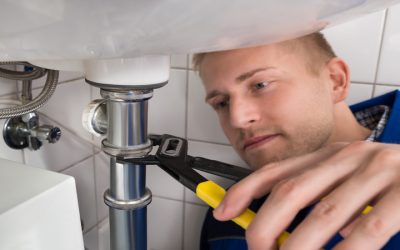 Everything You Need to Know About Residential Plumbing Services in Tampa, FL