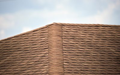 Roof Repair in Loveland, CO: Essential Insights for Homeowners