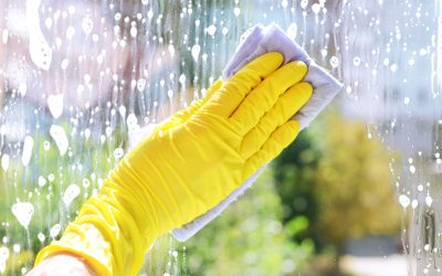 Brighter Homes, Sparkling Windows – The Value of Expert Window Cleaning