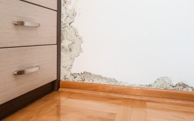 Professional Water Damage Repair In Carmel IN