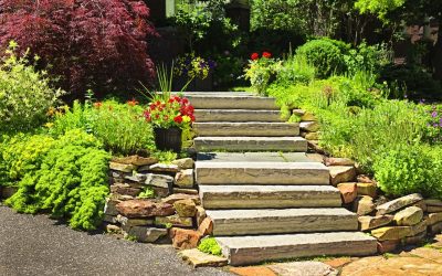 Curb Edging in Marshall, WI: A Stylish Upgrade for Your Outdoor Space